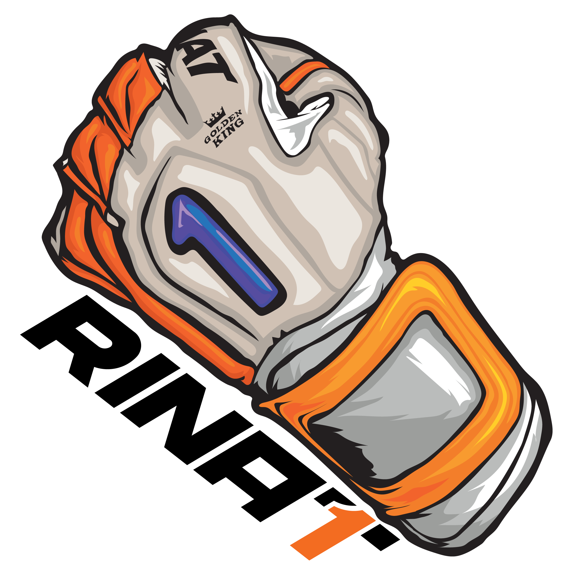 Rinat Fiera 🦁 Turf-Training Goalkeeper Glove 🐸Durable Gecko-Grip Palm